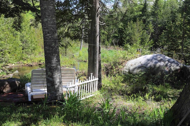 78 Daniels Pond Rd, Glover, VT 05839 - view of yard with a view of trees