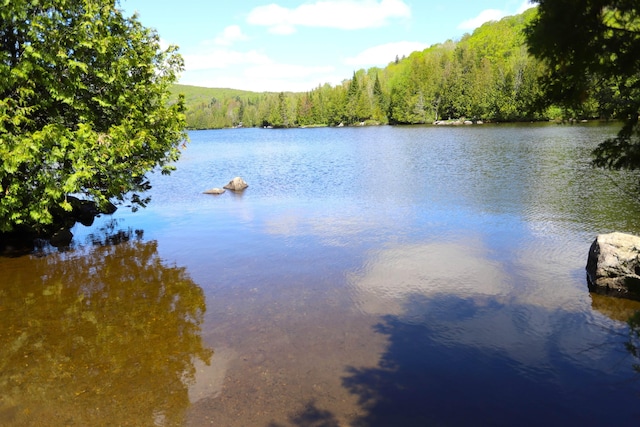 78 Daniels Pond Rd, Glover, VT 05839 - water view featuring a forest