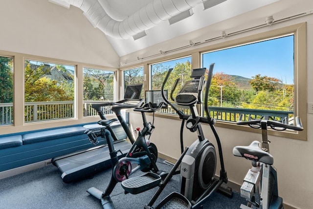 782 E Mountain Rd Unit C2, Killington, VT 05751 - exercise room featuring healthy amount of natural light