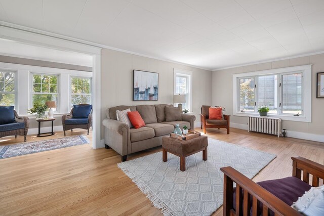 354 Dover Point Rd, Dover, NH 03820 - living area with radiator heating unit, ornamental molding, plenty of natural light, light wood finished floors, and baseboards