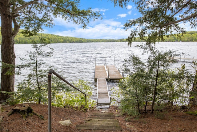 17 Hayes Ln, Acton, ME 04001 - dock area featuring a water view and a forest view