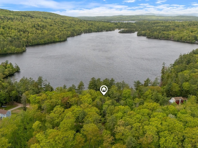 17 Hayes Ln, Acton, ME 04001 - aerial view of a forest and a large body of water