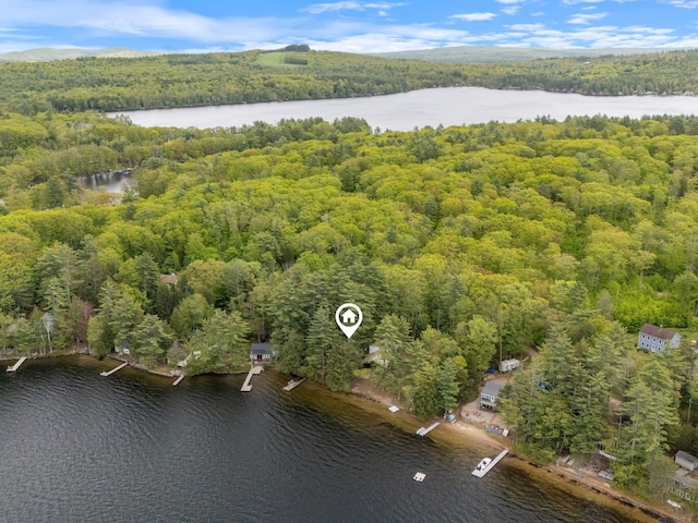 17 Hayes Ln, Acton, ME 04001 - aerial overview of property's location with a heavily wooded area and a nearby body of water