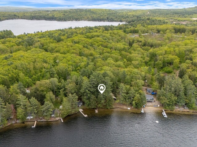 17 Hayes Ln, Acton, ME 04001 - bird's eye view of a forest and a nearby body of water
