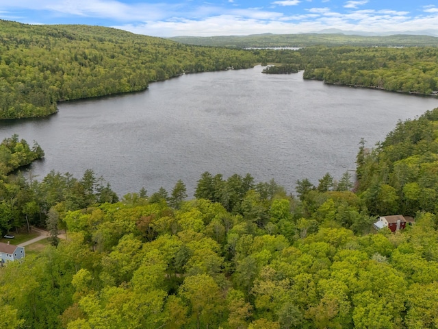 17 Hayes Ln, Acton, ME 04001 - aerial view of a heavily wooded area and a large body of water