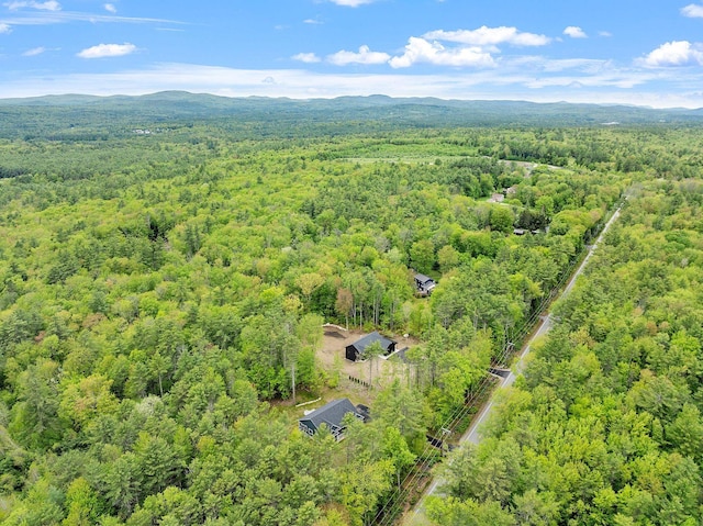 380 Greenfield Rd, Peterborough, NH 03458 - bird's eye view of a forest and a mountainous background