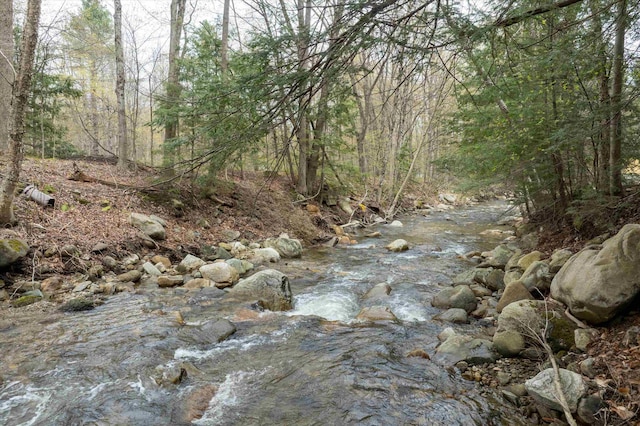 31 Plumley Ave, Ludlow, VT 05149 - view of woods