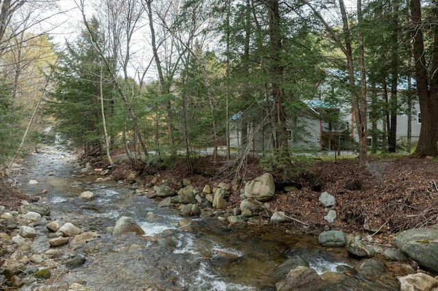 31 Plumley Ave, Ludlow, VT 05149 - view of undeveloped land