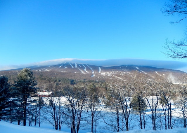 31 Plumley Ave, Ludlow, VT 05149 - view of mountain backdrop