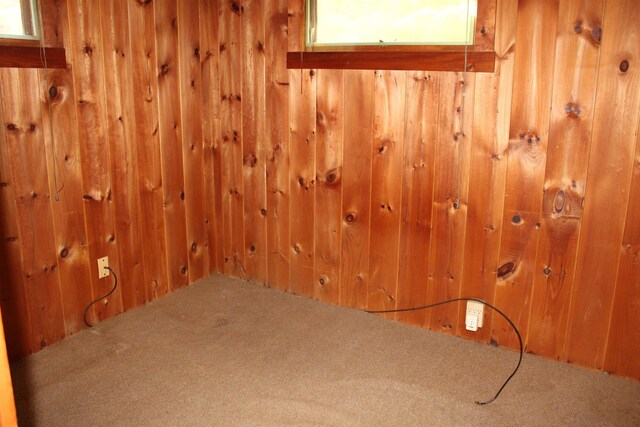 86 Concord Ln, Wakefield, NH 03830 - basement with carpet flooring and wood walls