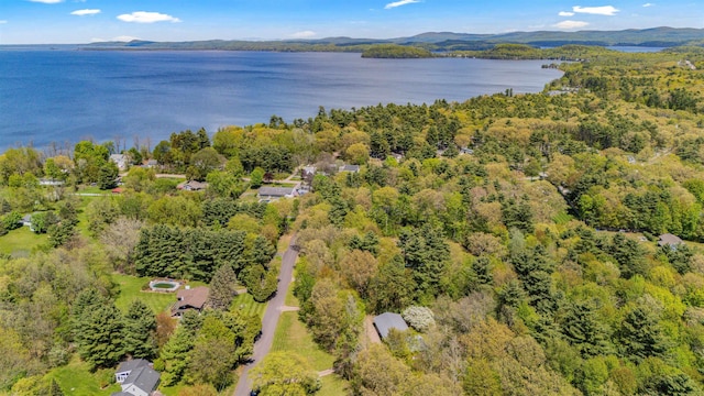 133 Pine Meadow Dr, Colchester, VT 05446 - aerial view of a water and mountain view and a forest