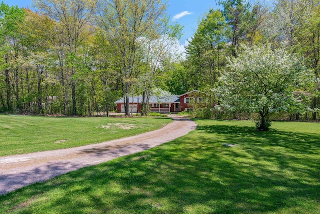 133 Pine Meadow Dr, Colchester, VT 05446 - view of home's community featuring a yard, driveway, and an attached garage