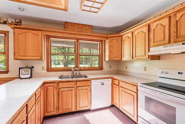 133 Pine Meadow Dr, Colchester, VT 05446 - kitchen with white appliances, a sink, under cabinet range hood, and light countertops