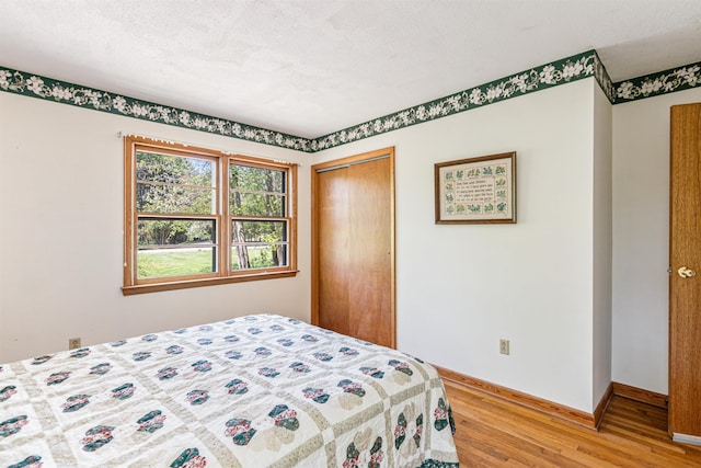 133 Pine Meadow Dr, Colchester, VT 05446 - bedroom with light wood-style floors, a closet, and baseboards