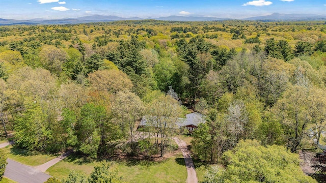 133 Pine Meadow Dr, Colchester, VT 05446 - drone / aerial view of a forest and mountains