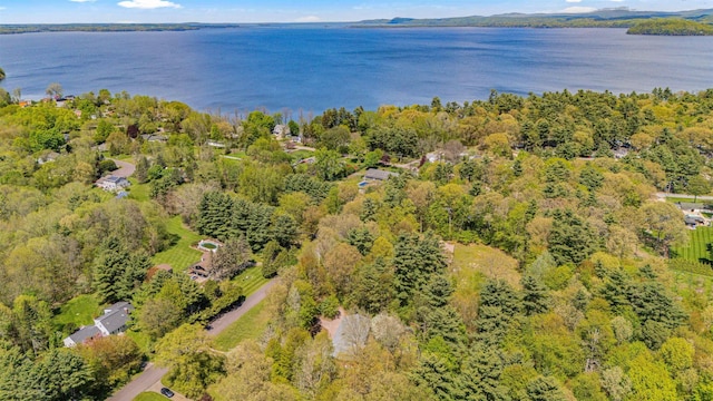 133 Pine Meadow Dr, Colchester, VT 05446 - aerial view of property and surrounding area featuring a large body of water