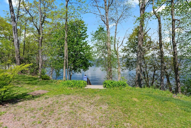 133 Pine Meadow Dr, Colchester, VT 05446 - water view with a boat dock