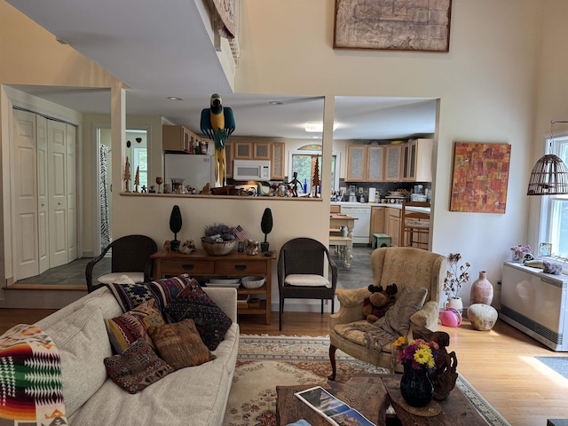 220 Foggs Ridge Rd, Ossipee, NH 03864 - living area featuring wood finished floors and a towering ceiling