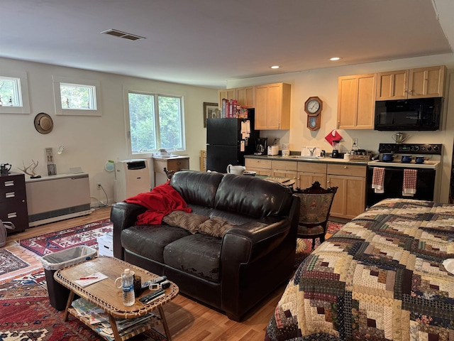 220 Foggs Ridge Rd, Ossipee, NH 03864 - living area featuring light wood-style flooring and recessed lighting