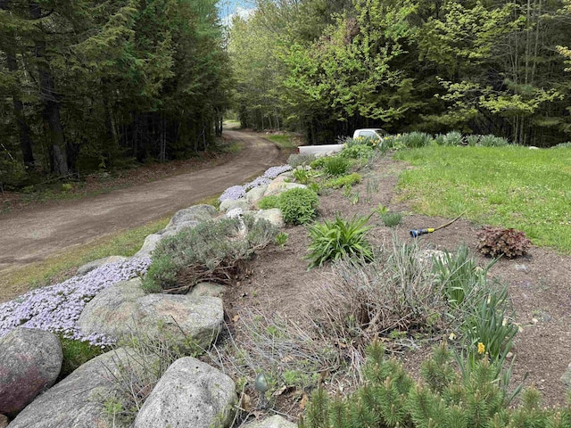 220 Foggs Ridge Rd, Ossipee, NH 03864 - view of yard with a forest view
