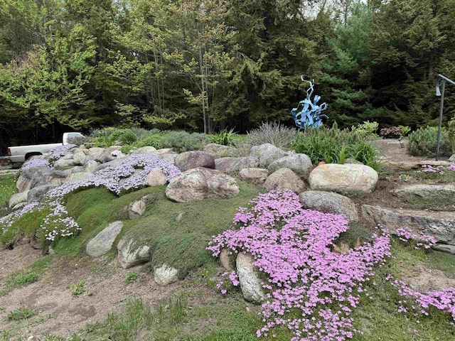 220 Foggs Ridge Rd, Ossipee, NH 03864 - view of yard