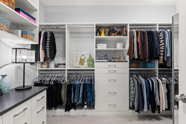 36 Caspian Ln, Shelburne, VT 05482 - view of walk in closet