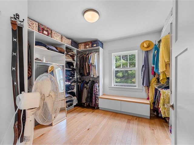 344 Morrie Rd, Washington, VT 05675 - walk in closet featuring light wood-style flooring