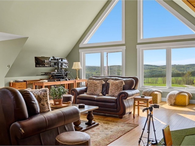 344 Morrie Rd, Washington, VT 05675 - living area featuring hardwood / wood-style floors and vaulted ceiling