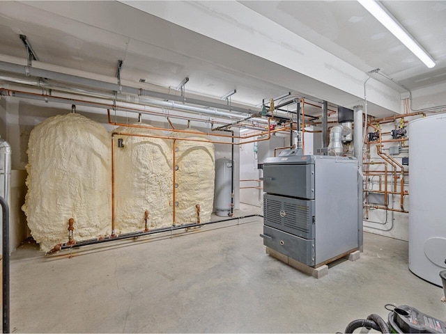 344 Morrie Rd, Washington, VT 05675 - below grade area featuring gas water heater