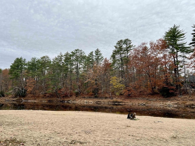 78 Saco Pines Rd Unit 9, Conway, NH 03813 - view of yard
