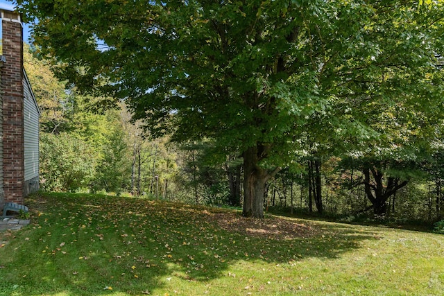 71 Scottsdale Rd, Newport City, VT 05855 - view of grassy yard