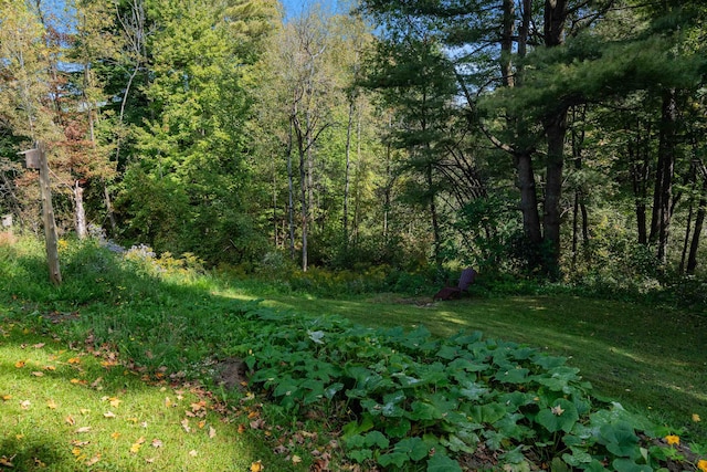 71 Scottsdale Rd, Newport City, VT 05855 - view of tree filled area