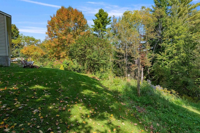 71 Scottsdale Rd, Newport City, VT 05855 - view of green lawn