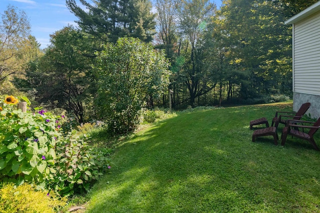 71 Scottsdale Rd, Newport City, VT 05855 - view of green lawn