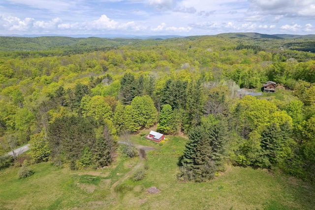 1176 Cross Rd, Strafford, VT 05070 - aerial view of a heavily wooded area