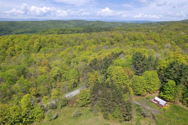 1176 Cross Rd, Strafford, VT 05070 - aerial view of a forest