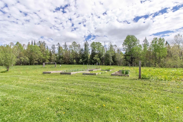 174 Andrews Rd, Holland, VT 05830 - view of grassy yard with a garden