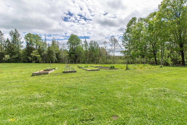 174 Andrews Rd, Holland, VT 05830 - view of green lawn with a garden