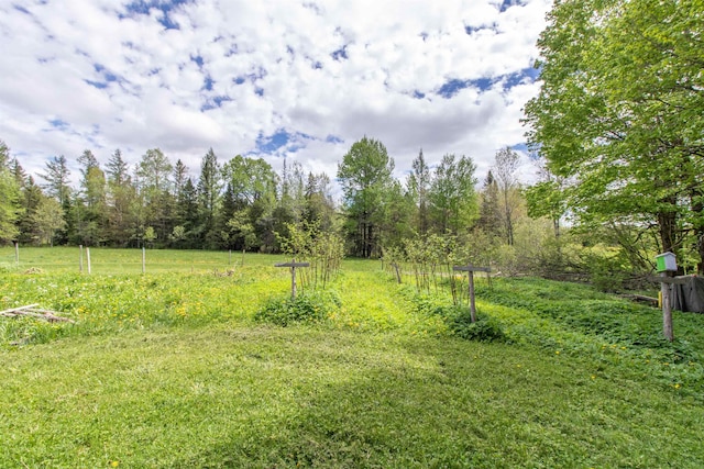 174 Andrews Rd, Holland, VT 05830 - view of yard featuring a forest view
