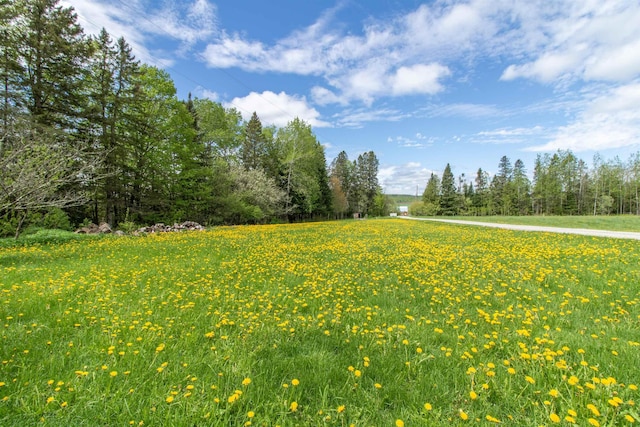 174 Andrews Rd, Holland, VT 05830 - view of yard