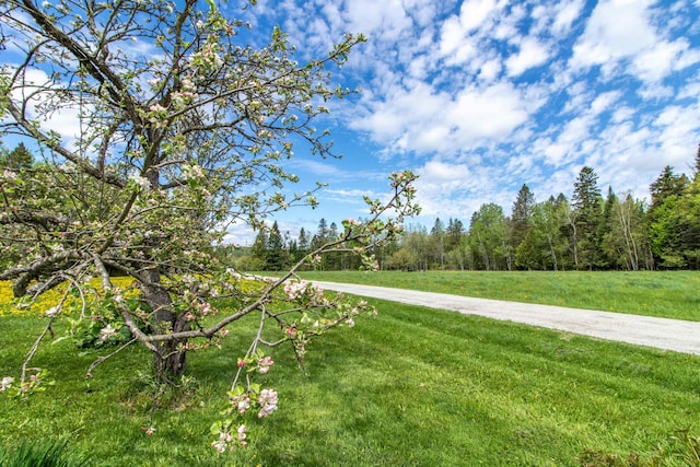 174 Andrews Rd, Holland, VT 05830 - view of grassy yard with a wooded view