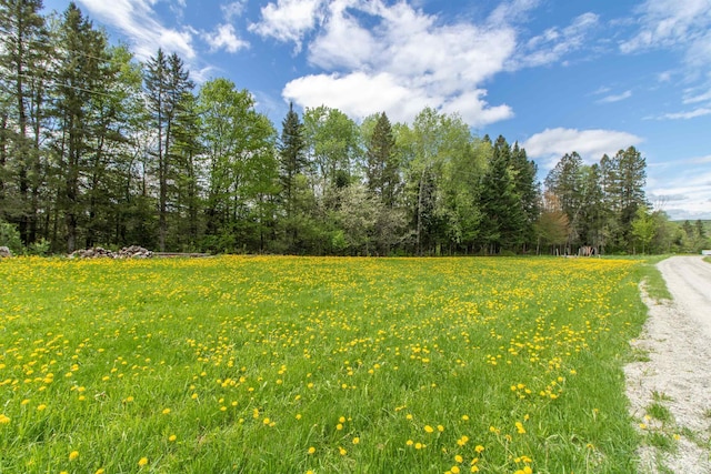174 Andrews Rd, Holland, VT 05830 - view of yard