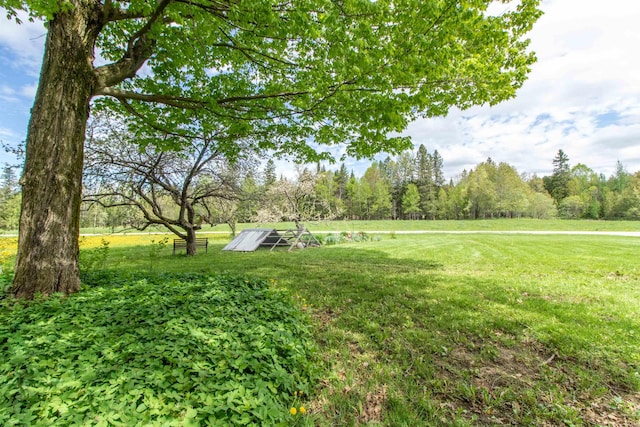 174 Andrews Rd, Holland, VT 05830 - view of grassy yard