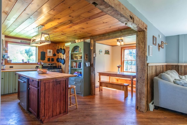 174 Andrews Rd, Holland, VT 05830 - kitchen with butcher block counters, stainless steel appliances, wooden walls, wooden ceiling, and dark wood-type flooring