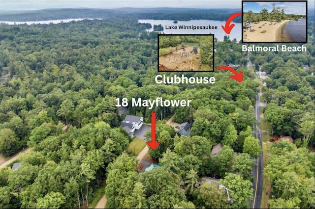 18 Mayflower Ln, Moultonborough, NH 03254 - view of property location with a forest, property parcel outlined, and a large body of water