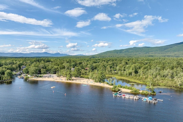 18 Mayflower Ln, Moultonborough, NH 03254 - bird's eye view of a heavily wooded area and a water and mountain view