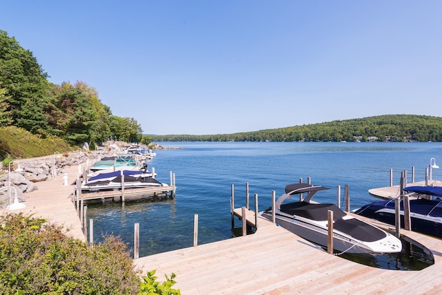 21 Hawk Ridge Rd, Meredith, NH 03253 - dock with a water view, a view of trees, and boat lift