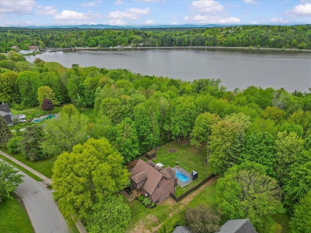 100 Maplewood Ave, Milton, VT 05468 - aerial view of a forest and a large body of water