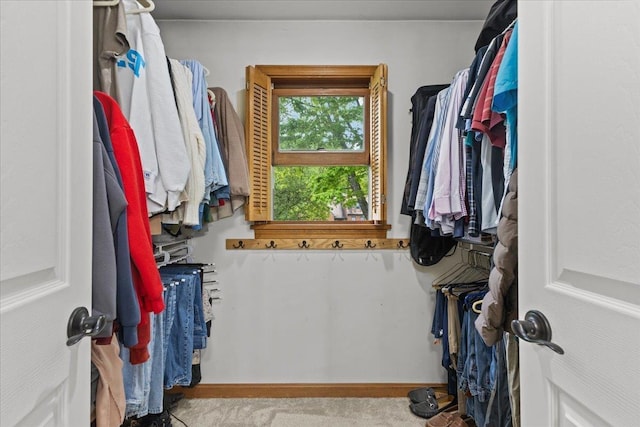 100 Maplewood Ave, Milton, VT 05468 - spacious closet with carpet