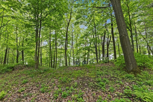 100 Maplewood Ave, Milton, VT 05468 - view of nature